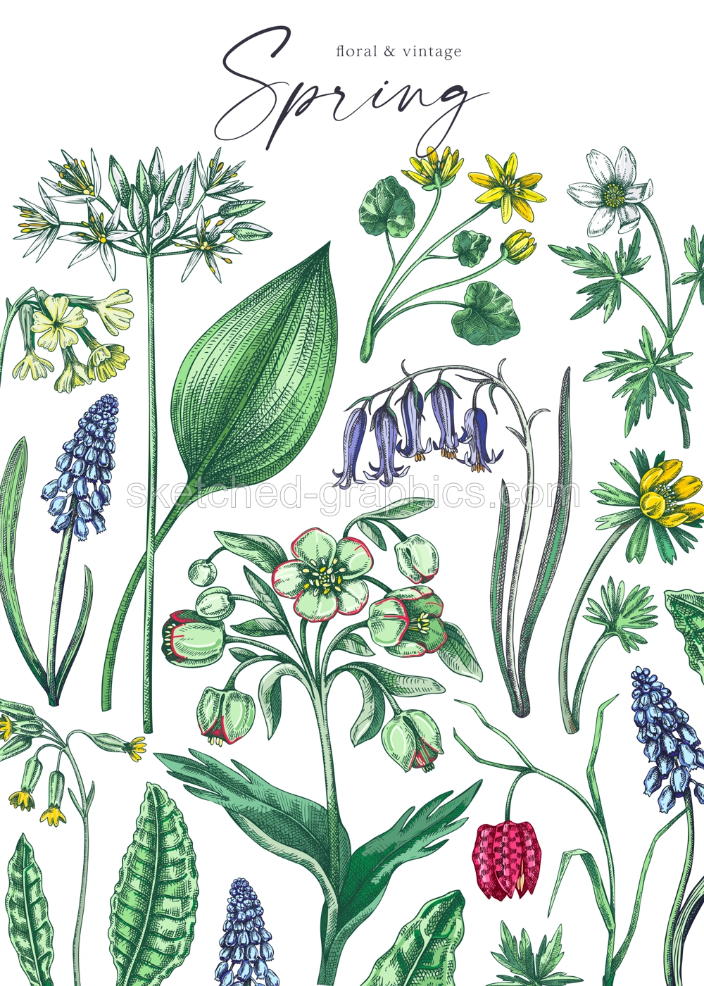 Delicate spring background. Wildflowers. Woodland wild flower sketches. Floral card, wedding invitation design template. Hand drawn vector illustration, NOT AI generated Illustration